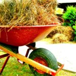wheelbarrow-67184_1280