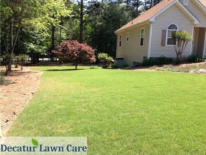 Lawn care maintenance plan by Decatur Lawn Care