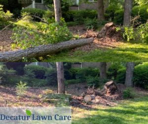 Decatur Lawn Care Tree Debris Removal Job