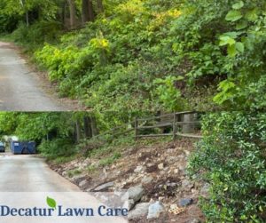 Decatur Lawn Care Overgrowth Clean Up Job
