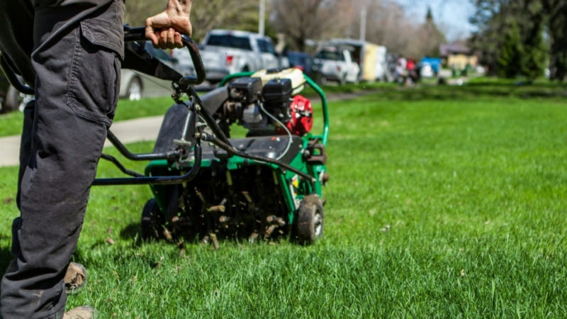 Core-Aeration Overseeding service